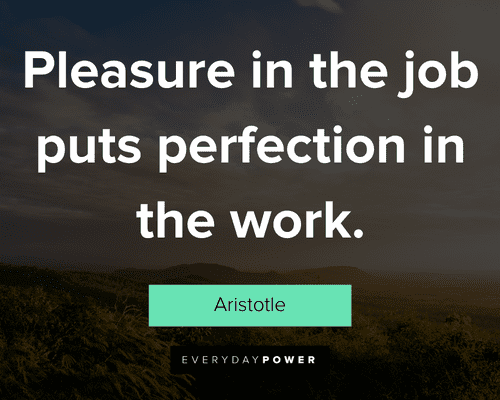 Perfection Quotes about pleasure in the job puts perfection in the work