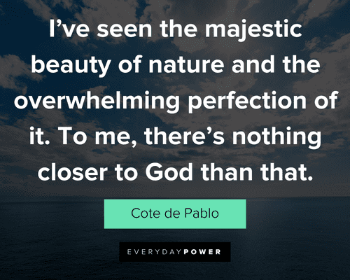 Perfection Quotes about beauty of nature