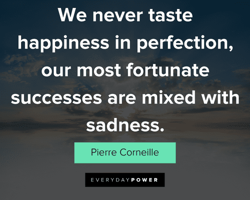 Happiness Perfection Quotes