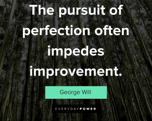 Perfection Quotes about The pursuit of perfection often impedes improvement