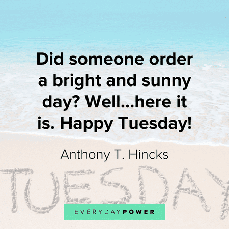 132 Fun Tuesday Quotes That Might Make Your Week A Bit Better