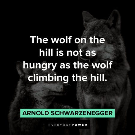 inspiring Wolf Quotes
