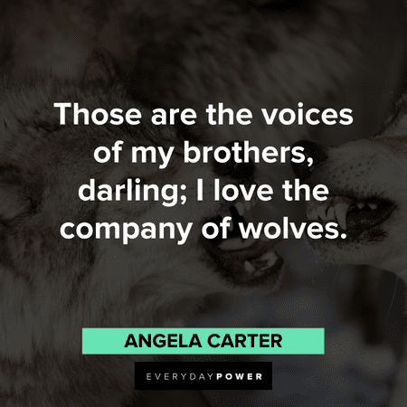 Wolf Quotes about loyalty
