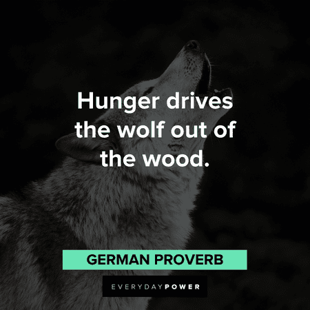 Wolf Quotes and proverbs