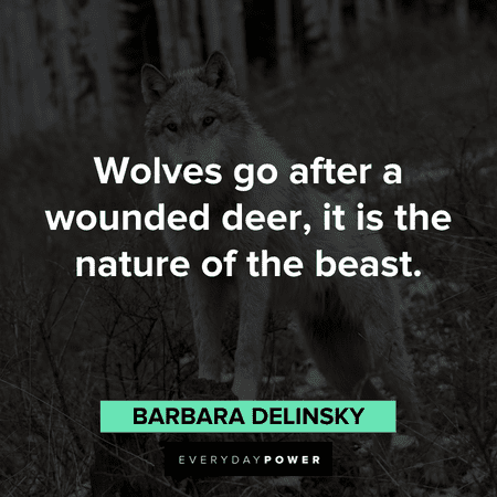 Wolf Quotes about their nature