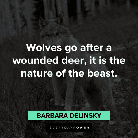 wolf spirit quotes