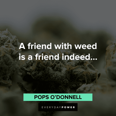 funny stoner quotes about friends