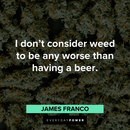 stoner quotes about weed and beer