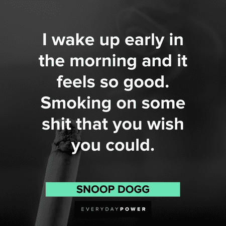 stoner quotes to brighten your day