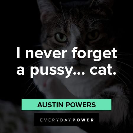 Austin Powers Quotes about never forget