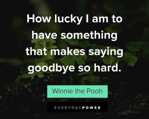 Grief Quotes About Saying Goodbye