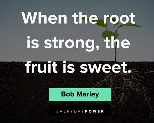 Bob Marley Quotes About Good Result
