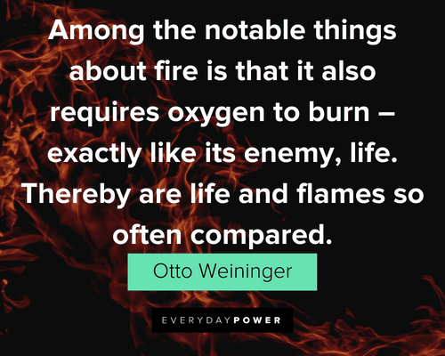 Fire Quotes About Life