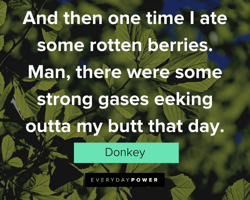 Shrek Quotes About Strong Gases