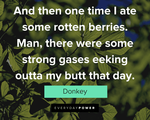 shrek donkey quotes pick me