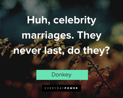 shrek donkey quotes