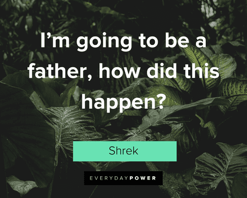 Shrek Quotes About Becoming Father