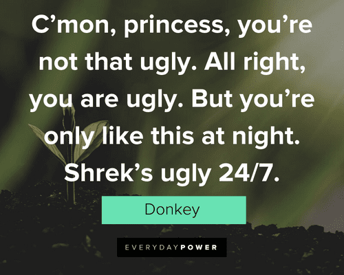 Shrek Quotes About Being Ugly
