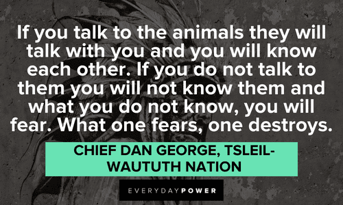 Indigenous People’s Quotes about animals