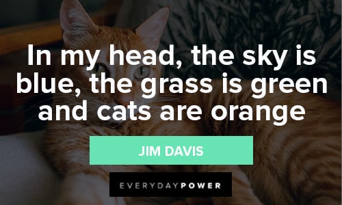Orange Quotes About Cats
