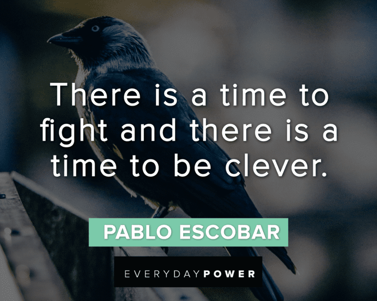 Pablo Escobar Quotes About Cleverness