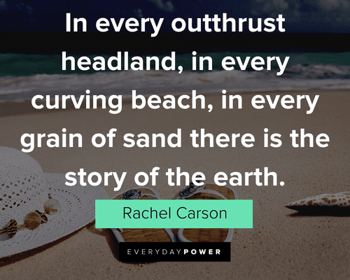 Beach Quotes About Story About Earth
