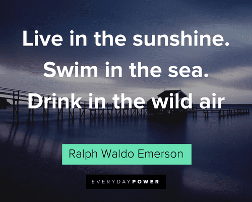 Beach Quotes About Living Freely 