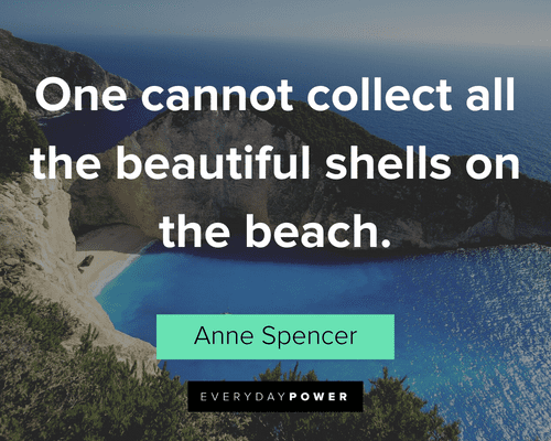 Beach Quotes About Collecting Beautiful Shells
