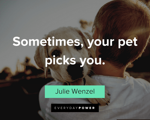 beautiful Pet Quotes