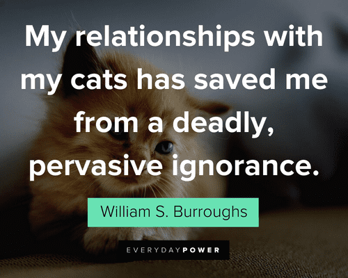 Pet Quotes about relationship with animals