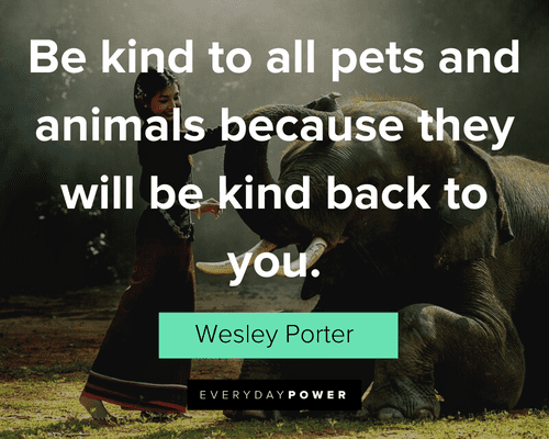 Pet Quotes about kindness