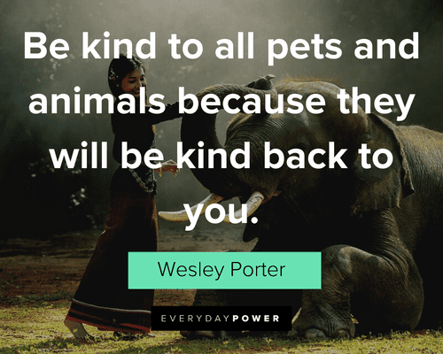 Pet Quotes And Sayings For All Animal Lovers 17 