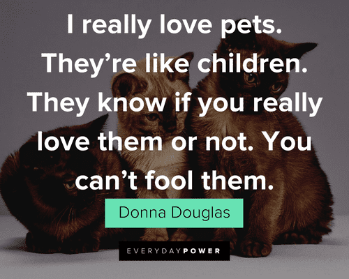 Pet Quotes about loving your pets