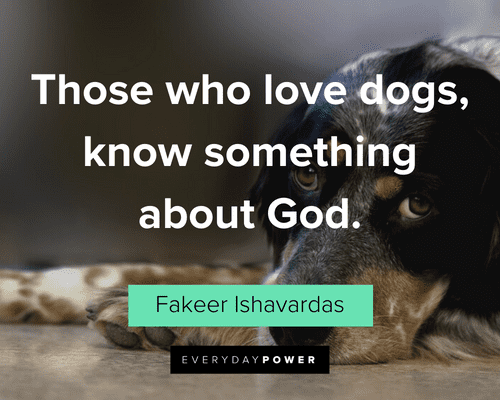 Pet Quotes about God