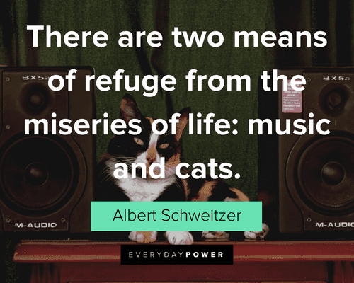 Pet Quotes about cats and music