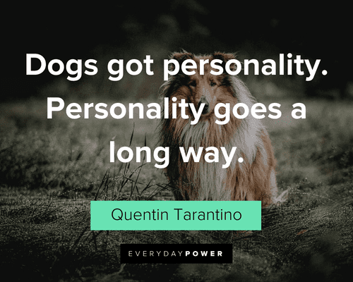 Pet Quotes about personalities