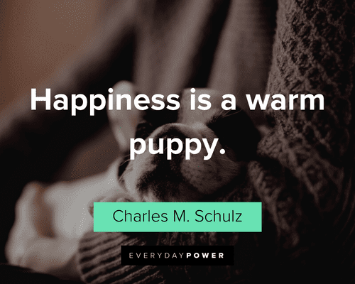 Pet Quotes about happiness
