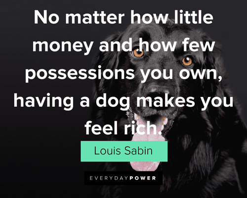 Pet Quotes about the real wealth