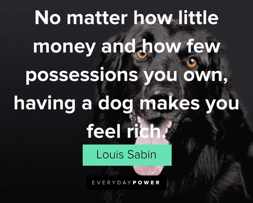 a good quote for a dog