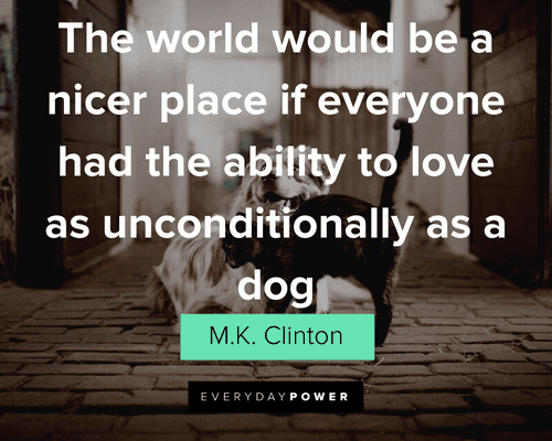 Pet Quotes about unconditional love
