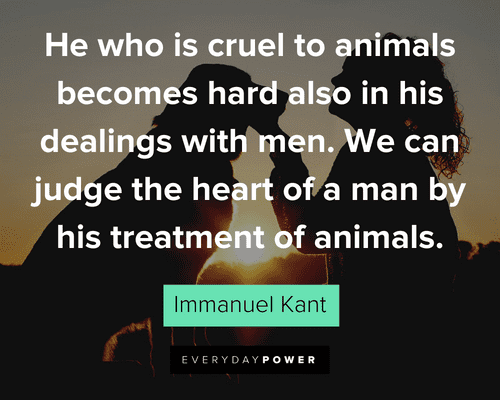 animal cruelty quotes sayings