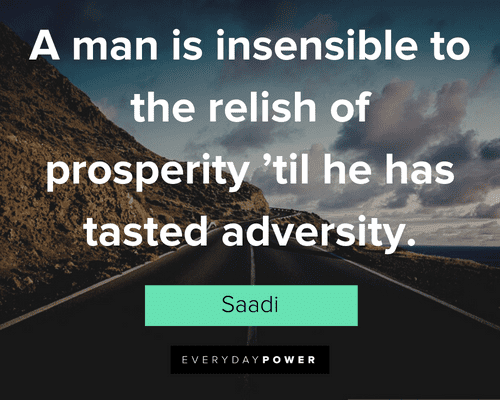 Prosperity Quotes about tasting adversity