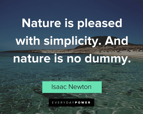Simple Quotes About Simplicity