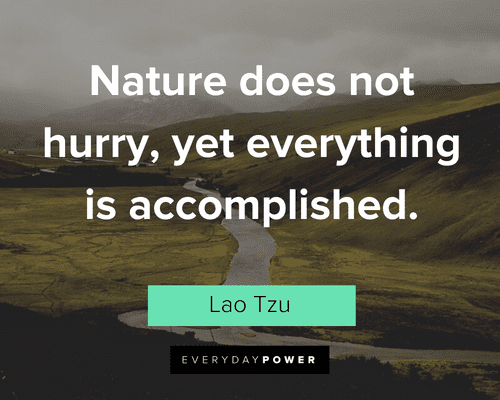 Simple Quotes About Nature