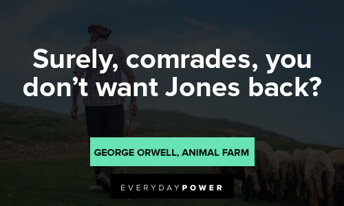 Animal Farm Quotes About Jones