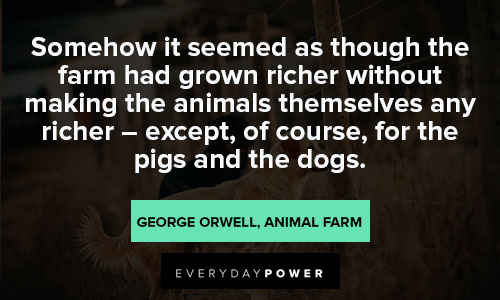 Animal Farm Quotes About Growing Richer