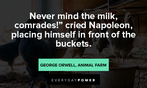 Animal Farm Quotes About Milk