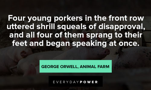 Animal Farm Quotes About Porkers