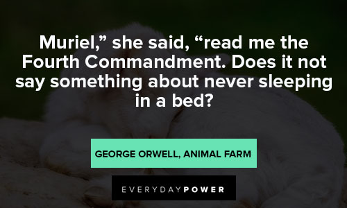 Animal Farm Quotes About Sleeping