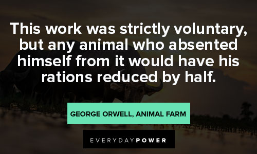 Animal Farm Quotes About Society and Power | Everyday Power